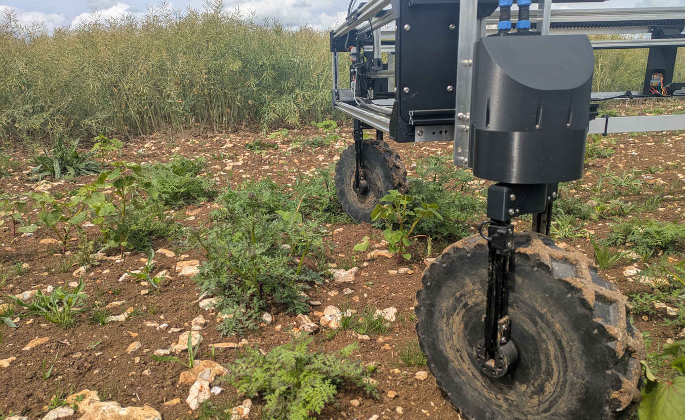 AI-Powered Agricultural Insights
