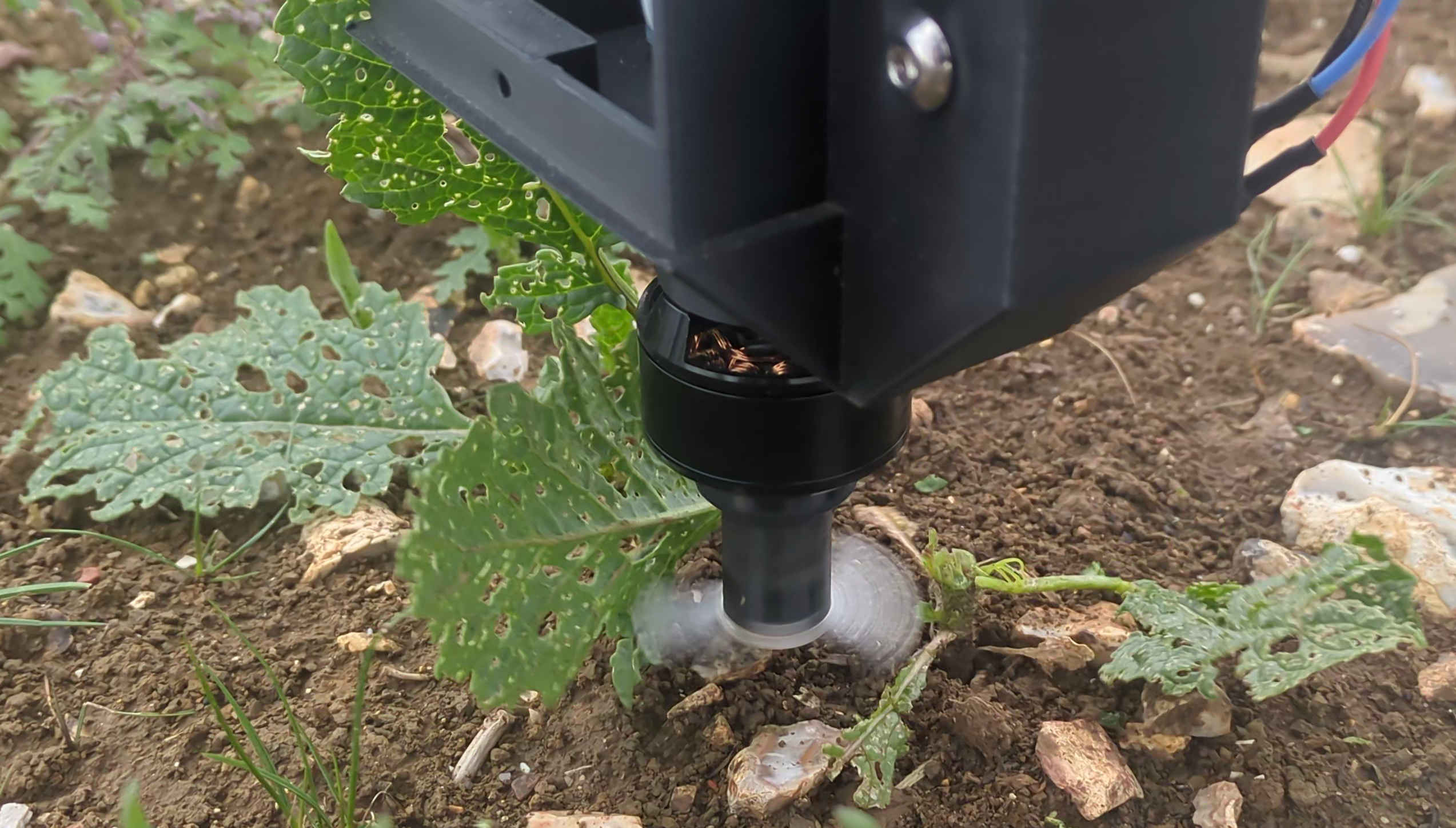 Zero-Chemical Precision Weeding Robot