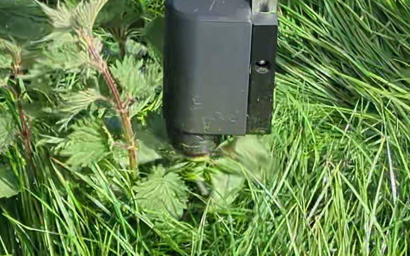 Precision Weeding Robot